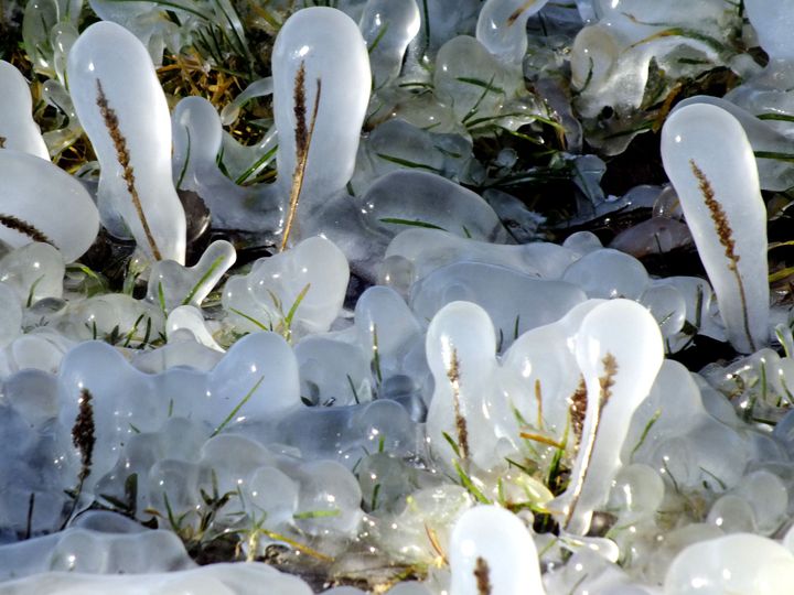 Decemberben öntötte le egy vödör vízzel a hajléktalan nőt, aki halálra fagyott