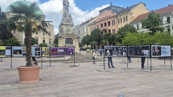 Pécsett debütál a 43. Magyar Sajtófotó vándorkiállítás