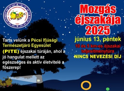Mozgás Éjszakája Pécsen