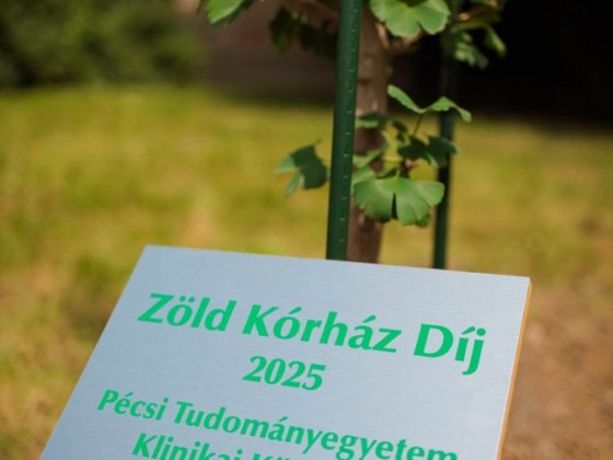 Ginkgo biloba fával a még zöldebb pécsi kórházért