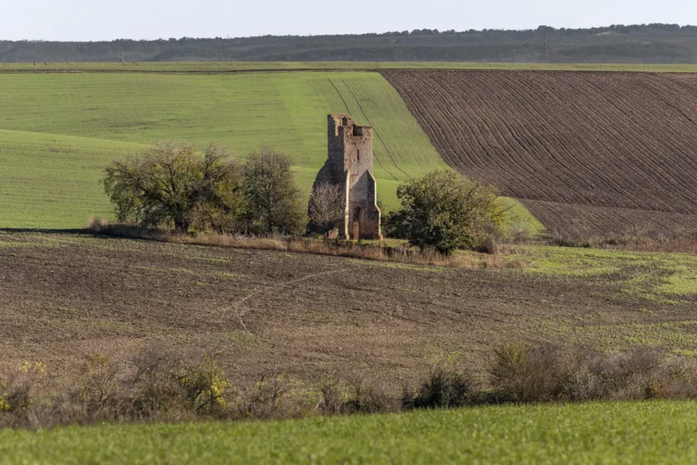 Felújítják a somolyi, középkori templomromot