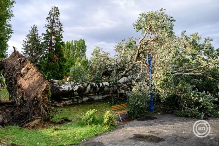 Közel 10 ezer bejelentés érkezett a vihar miatt kedden