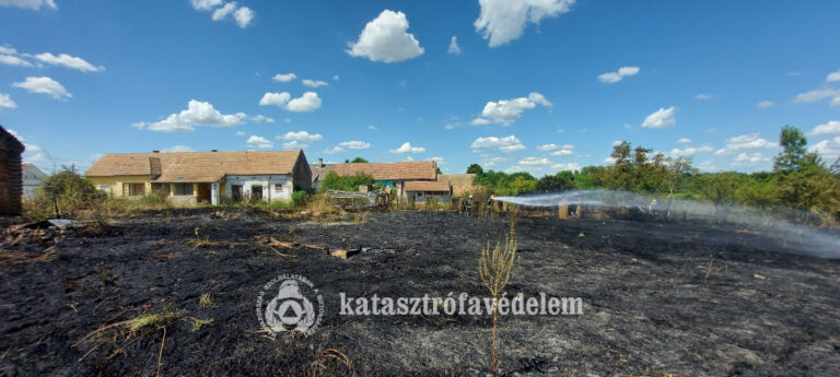 Kiskutyákat kellett kimenteni a tűzből Pettenden