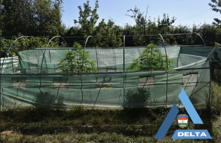 Drogdílereket buktattak le Szigetváron – kommandós akcióval csaptak le a hálózatra