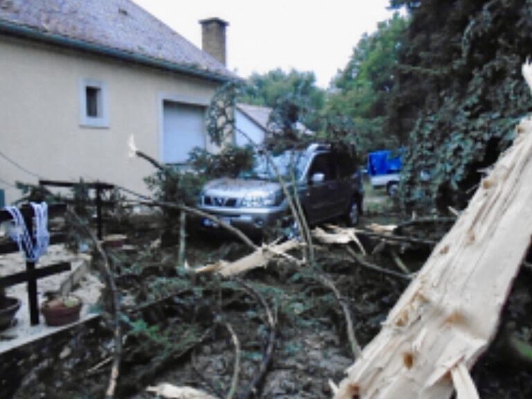 Villám csapott egy fenyőfába Harkányban