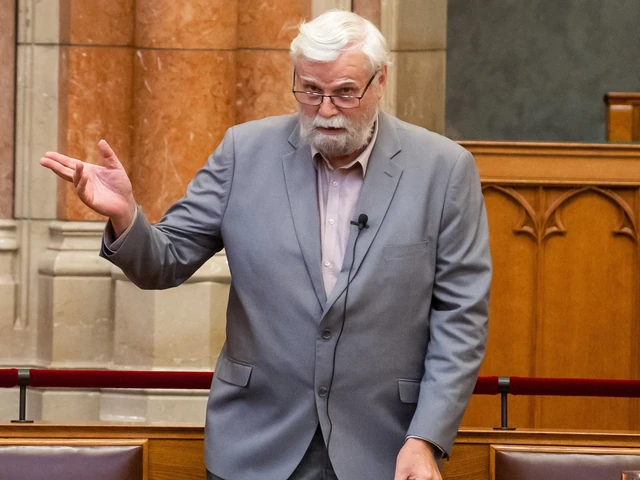 Mellár Tamás befejezi 