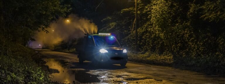 Városszerte szúnyoggyérítés lesz Pécsett
