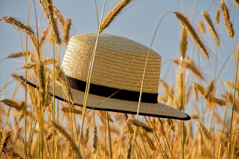 Napos, derült idővel és izgalmas égbolti látvánnyal érkezik a kedd