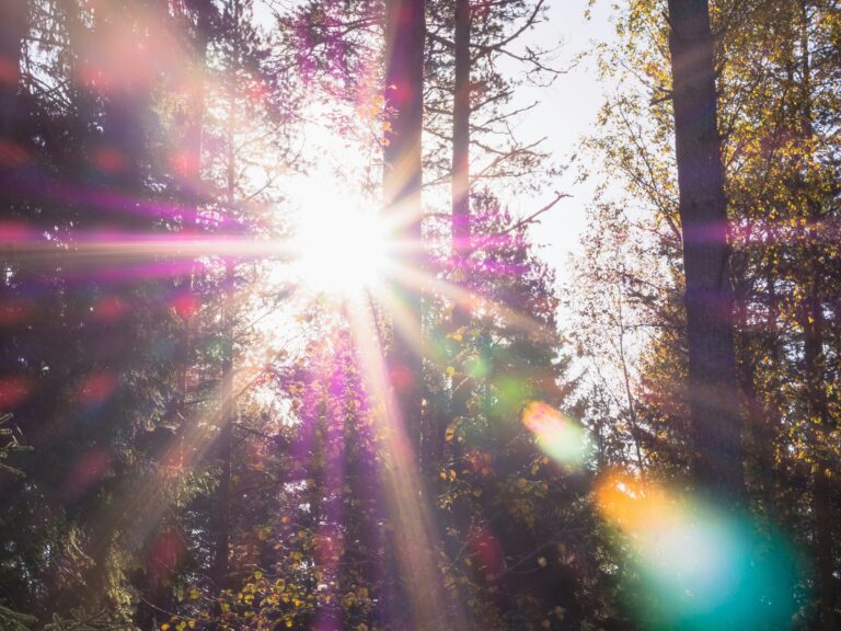 Photo by Patrick on Unsplash