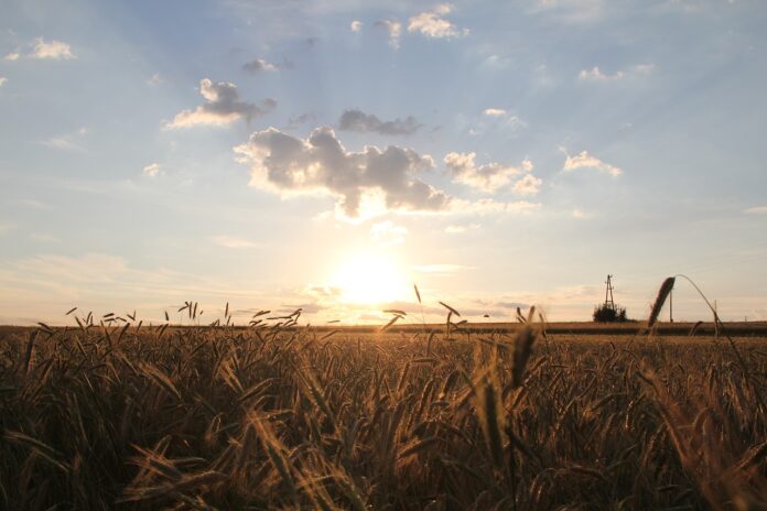 sunrise-5408470_1280