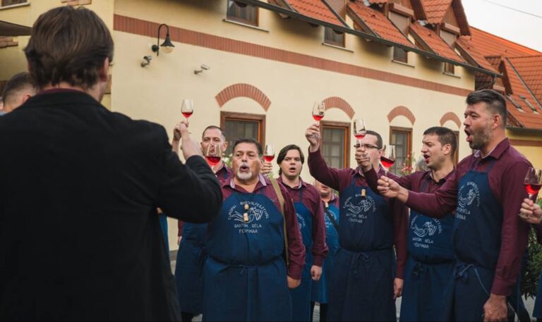 XXVIII. Európai Bordalfesztivál, XIII. Villányi Prémium Bormustra és II. Bordalnok Énekverseny