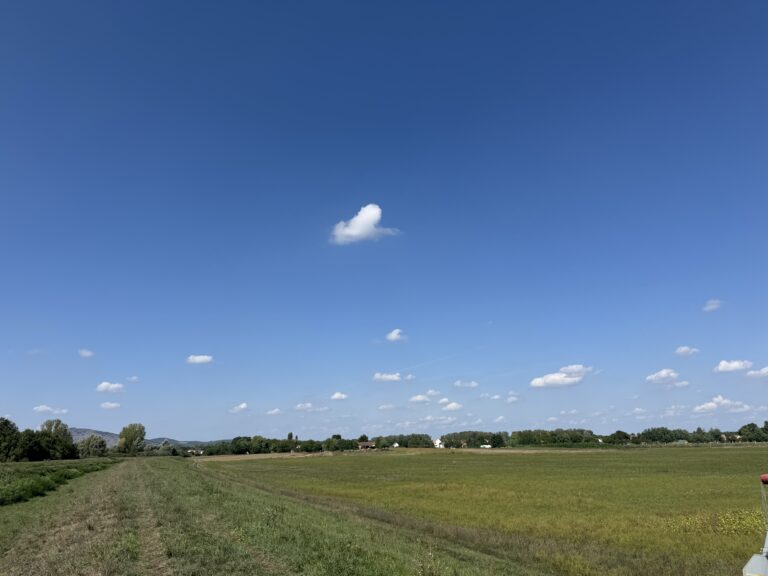 Nyárias, derűs hétvége vár ránk Baranyában