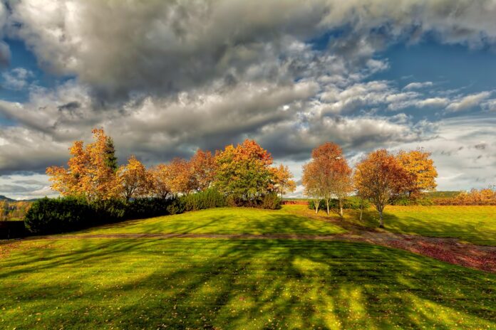 landscape-5340046_1280