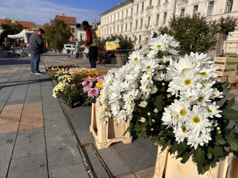 Virágba borul a Kossuth tér – jön a Biokom tavaszi növényvására