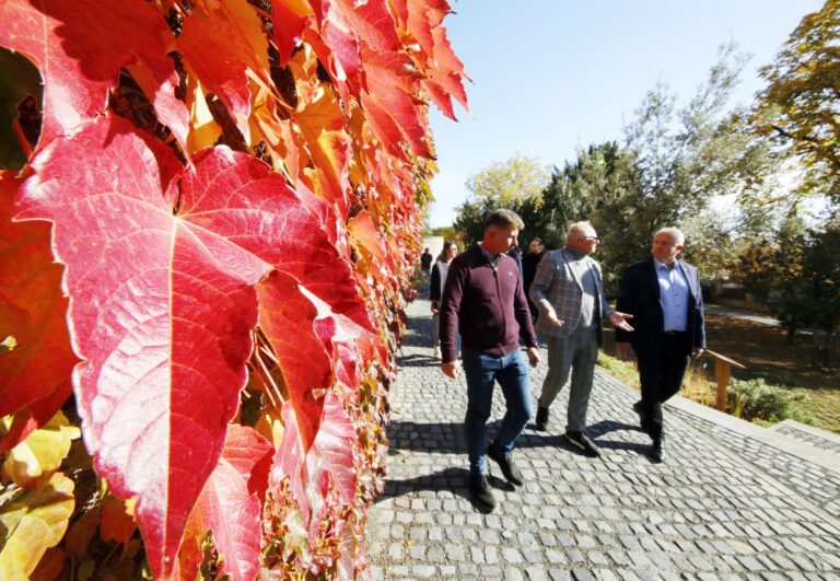 Újra a pécsieké a Barbakán kert – megújult a belváros ikonikus zöldterülete
