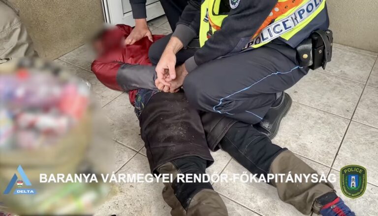 108 tő és 28 kiló cannabis: profi termesztőt kaptak el Borjádon – VIDEÓ