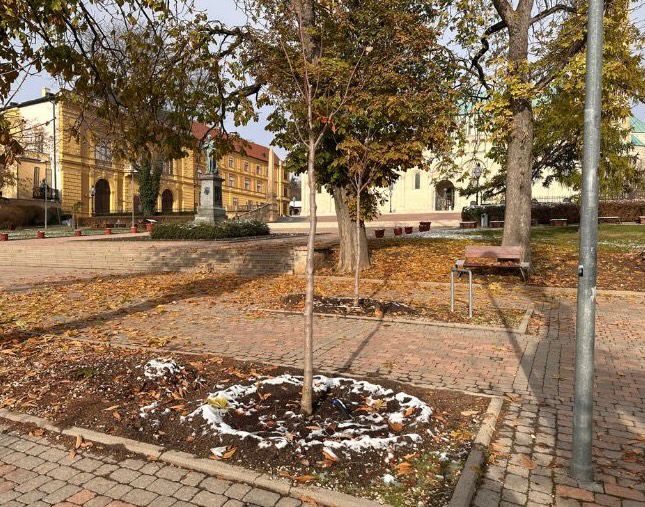 Nyolc új vadgesztenyefával gazdagodott a Sétatér és a Szent István tér