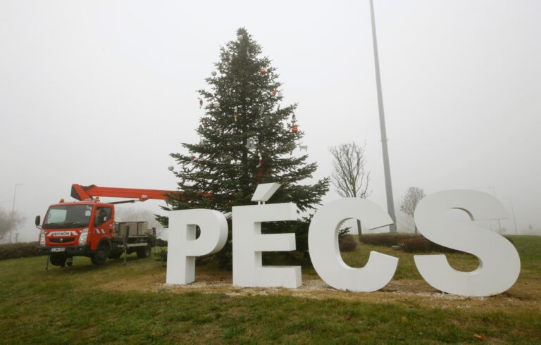 Érkeznek a városrészi karácsonyfák Pécsre
