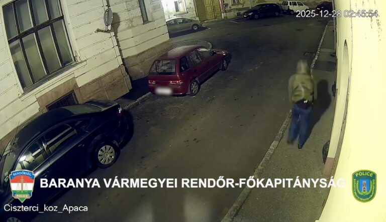 Rongálás elkövetőjét keresi a rendőrség Pécsett – VIDEÓ