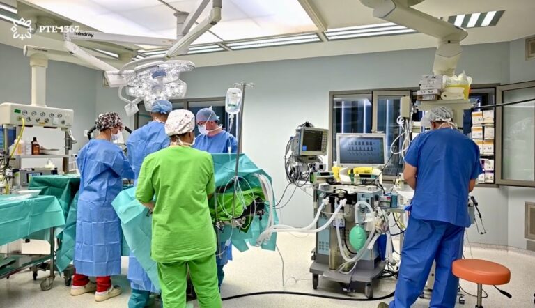 Két család, két vese, négy élet – mérföldkő és emberi történetek Pécsről