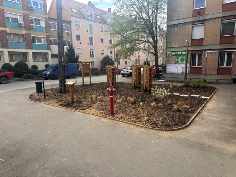 Újabb zöldfelületek újultak meg és folytatódik a graffitimentesítés Pécsen
