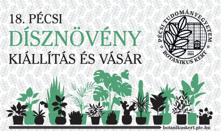 Különleges növénycsodák Pécsen – jön a Dísznövény Kiállítás és Vásár