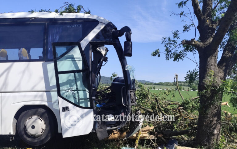Tragikus buszbaleset, lakástűz és több riasztás – több helyszínen dolgoztak a tűzoltók Baranyában
