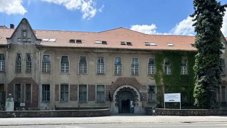 Több gyermekellátást érintő változás lép életbe Pécsen júliustól
