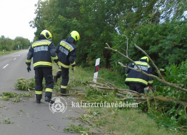 Szabadtéri tüzek és kidőlt fák adtak munkát a baranyai tűzoltóknak