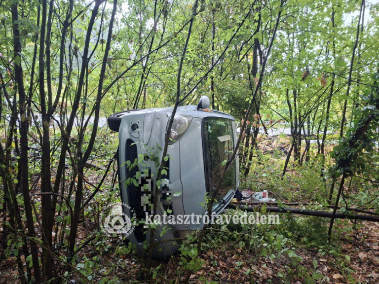 Balesetek, kidőlt fák és lakástűz adott munkát a baranyai tűzoltóknak