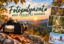 A te fotód is bekerülhet a Mecsekerdő 2027-es falinaptárába